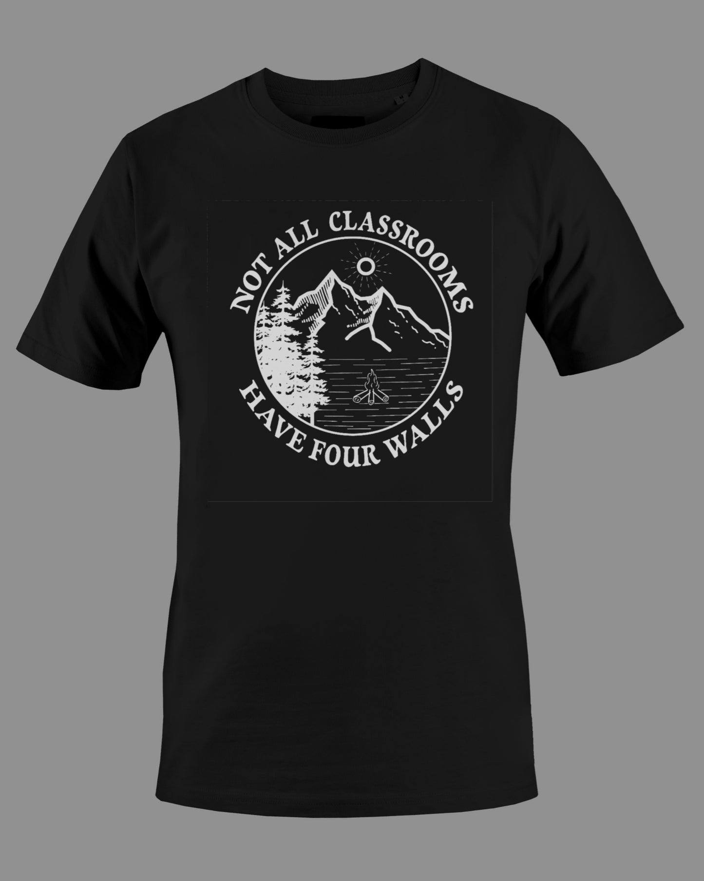 Gildan G500 "Not all classrooms have four walls" Logo Unisex Heavy Cotton T-shirt