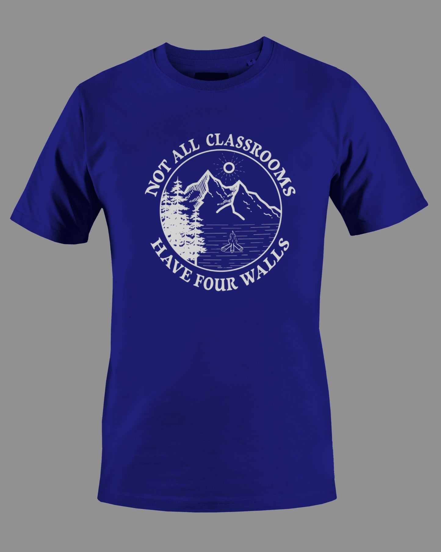 Gildan G500 "Not all classrooms have four walls" Logo Unisex Heavy Cotton T-shirt