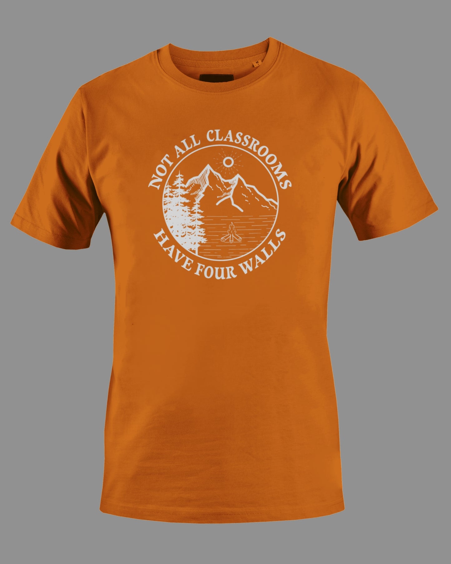 Gildan G500 "Not all classrooms have four walls" Logo Unisex Heavy Cotton T-shirt