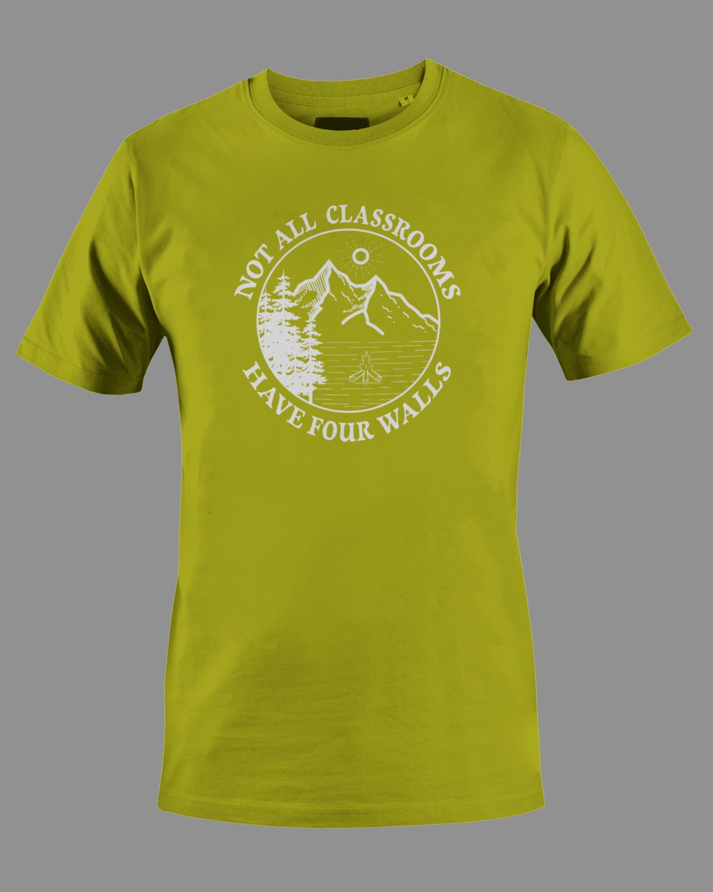 Gildan G500 "Not all classrooms have four walls" Logo Unisex Heavy Cotton T-shirt