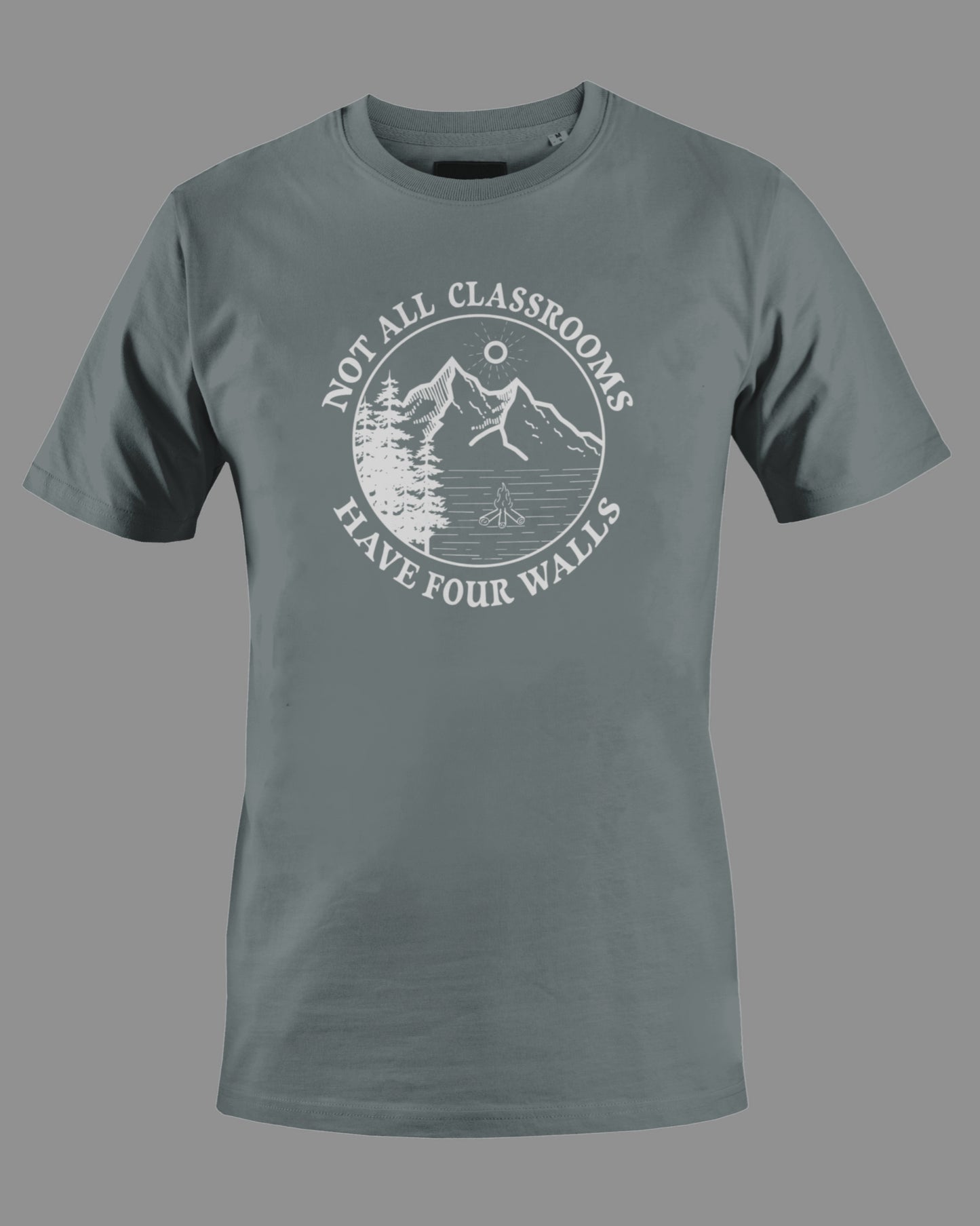 Gildan G500 "Not all classrooms have four walls" Logo Unisex Heavy Cotton T-shirt