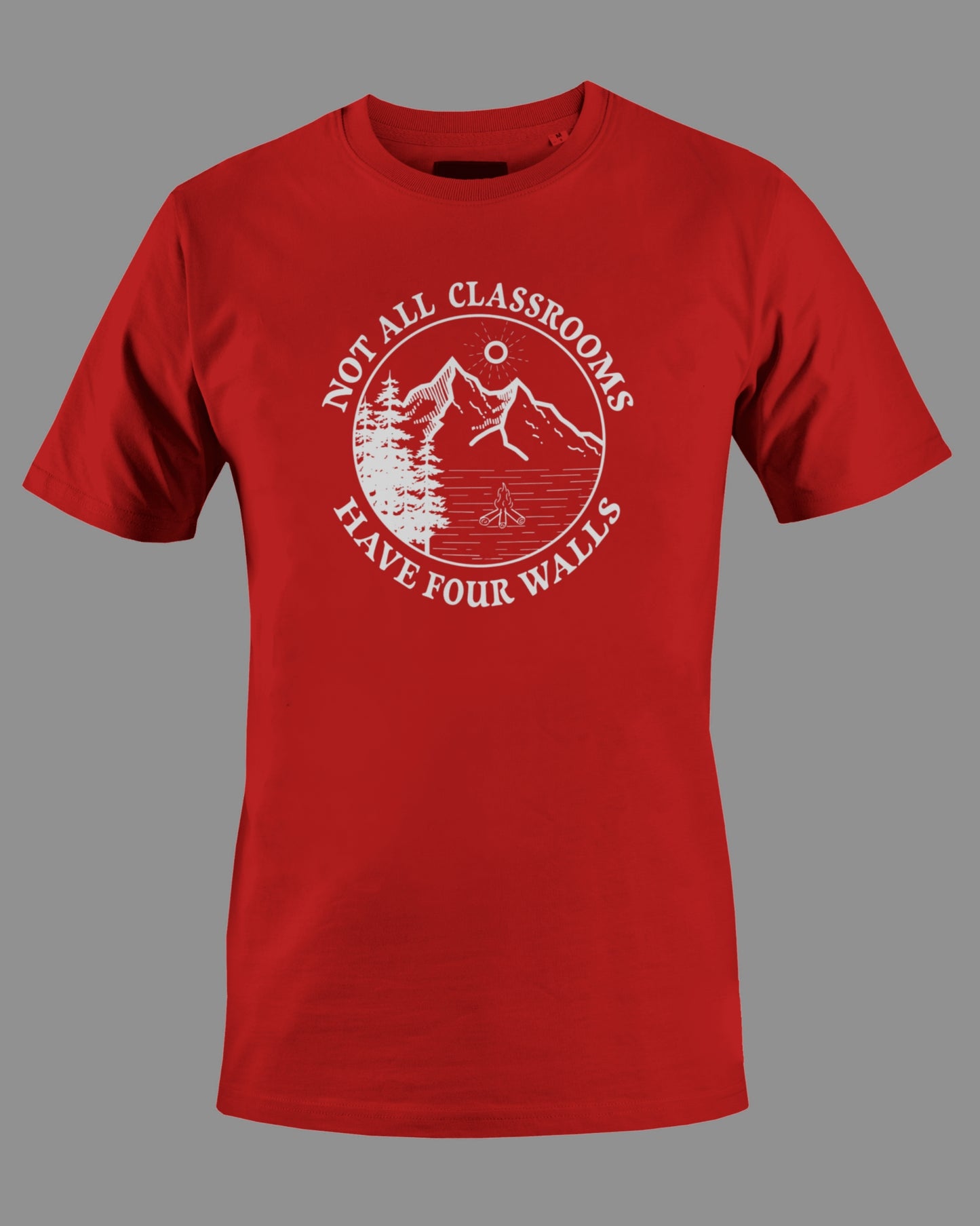 Gildan G500 "Not all classrooms have four walls" Logo Unisex Heavy Cotton T-shirt