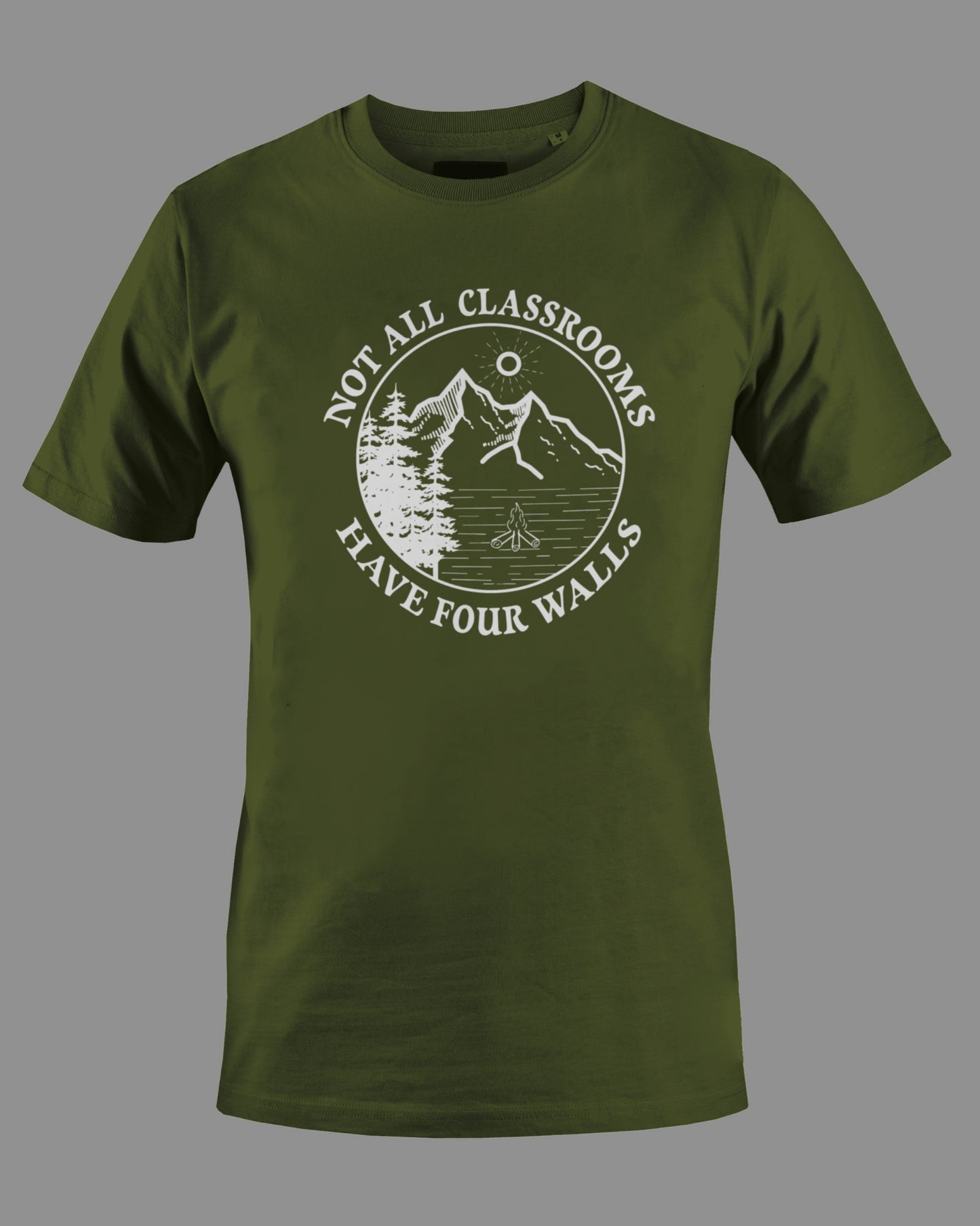 Gildan G500 "Not all classrooms have four walls" Logo Unisex Heavy Cotton T-shirt