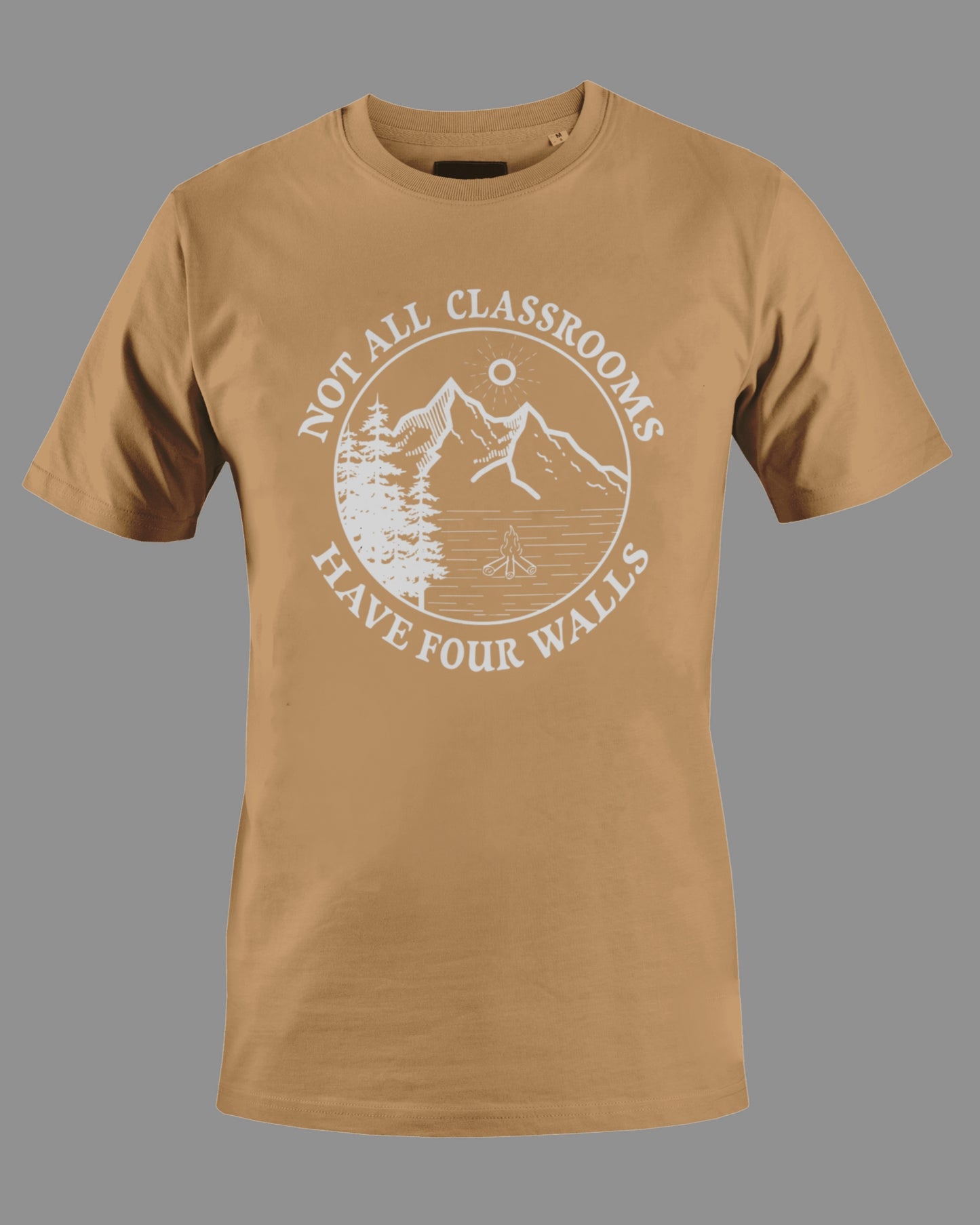 Gildan G500 "Not all classrooms have four walls" Logo Unisex Heavy Cotton T-shirt
